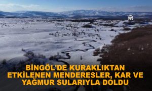 Bingöl’deki Menderesler Yağışlarla Yeniden Hayat Buldu